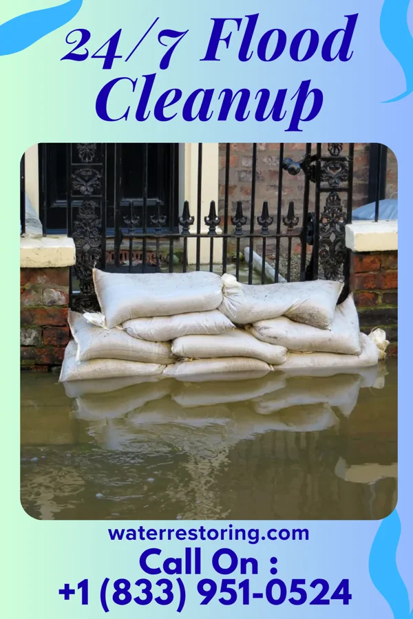 24/7 Flood Cleanup in Trenton, IL