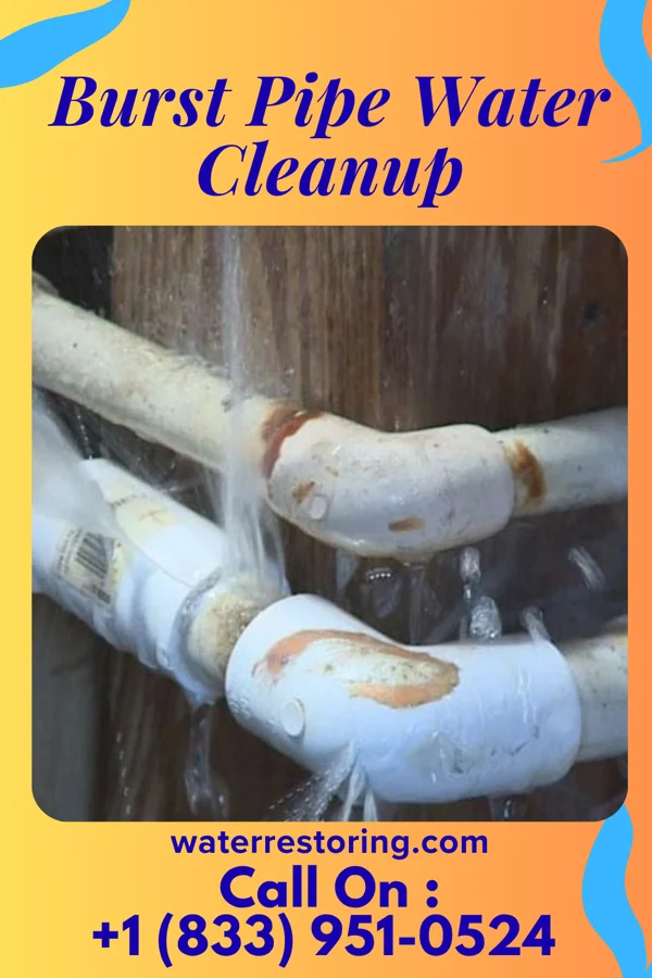 Burst Pipe Water Cleanup in Trenton, IL