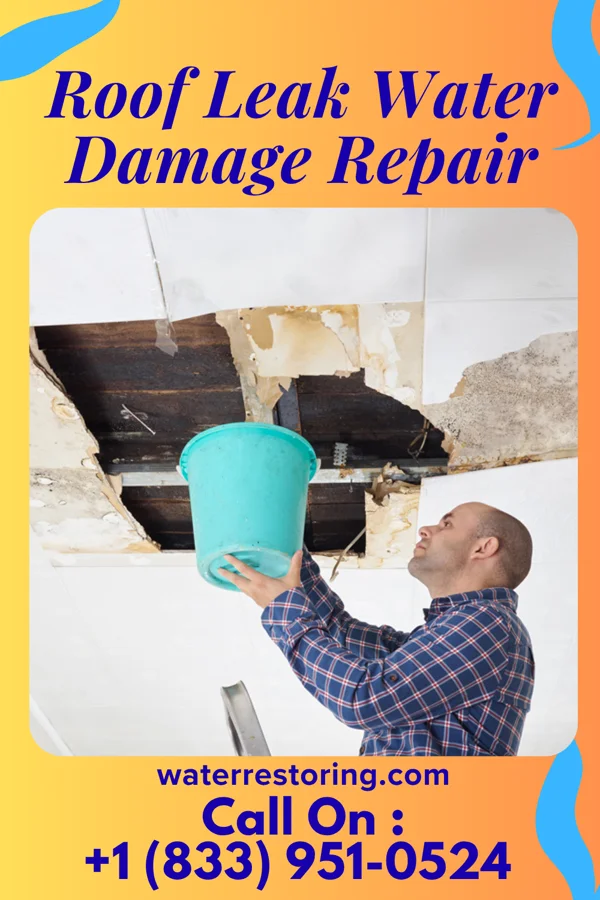 Roof Leak Water Damage Repair in Trenton, IL