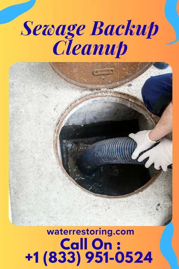 Sewage Backup Cleanup in Trenton, IL
