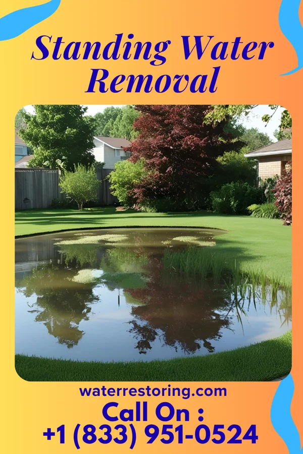 Standing Water Removal in Trenton, IL